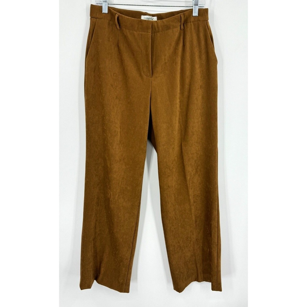Coldwater Creek Pants Womens 10 Wide Leg Pockets Sueded Pleated Minimalist Brown